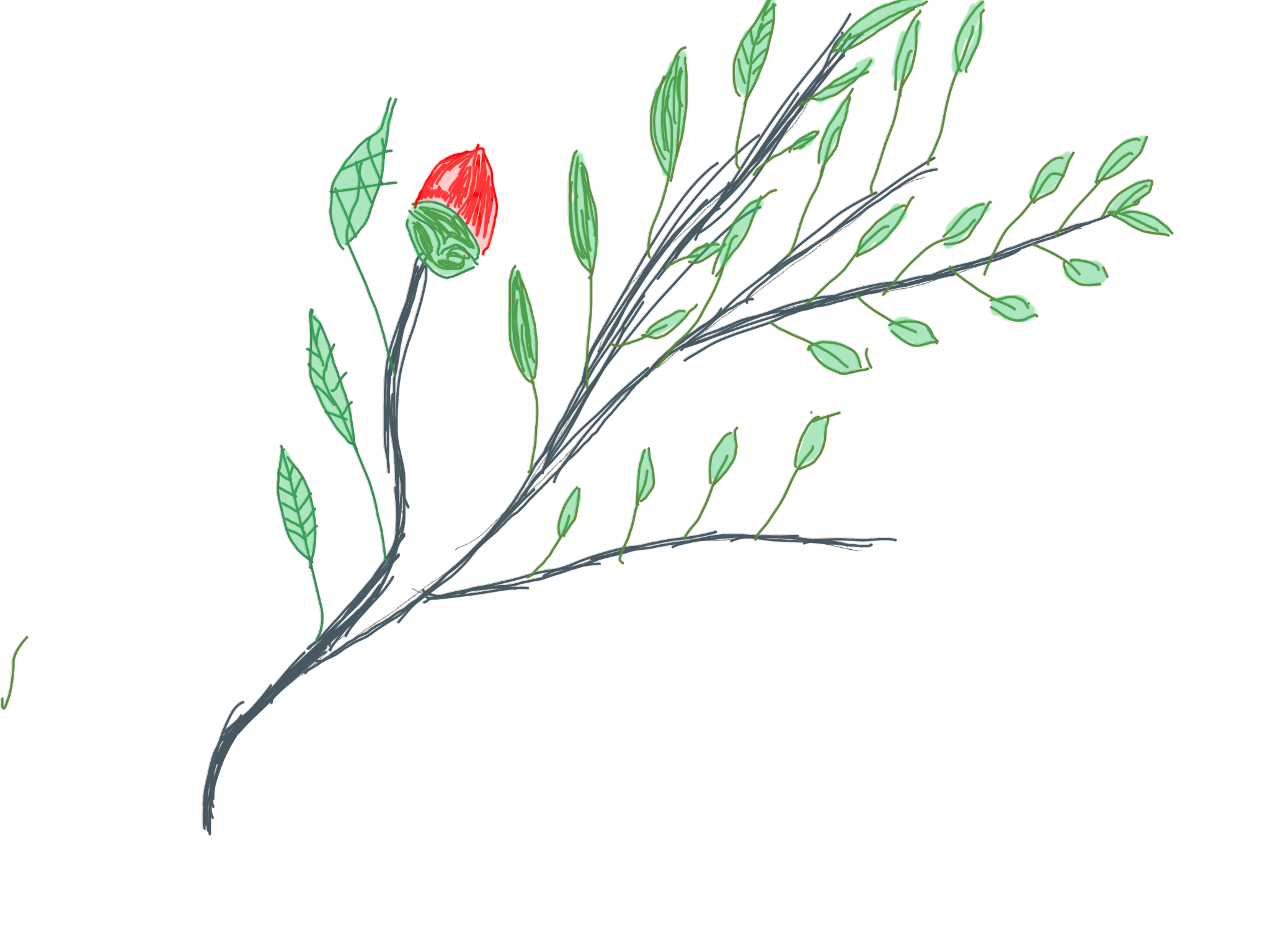 Una flor