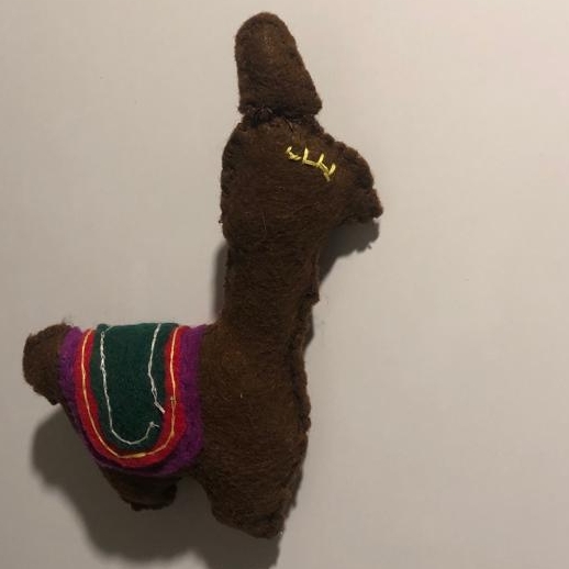 Una llama