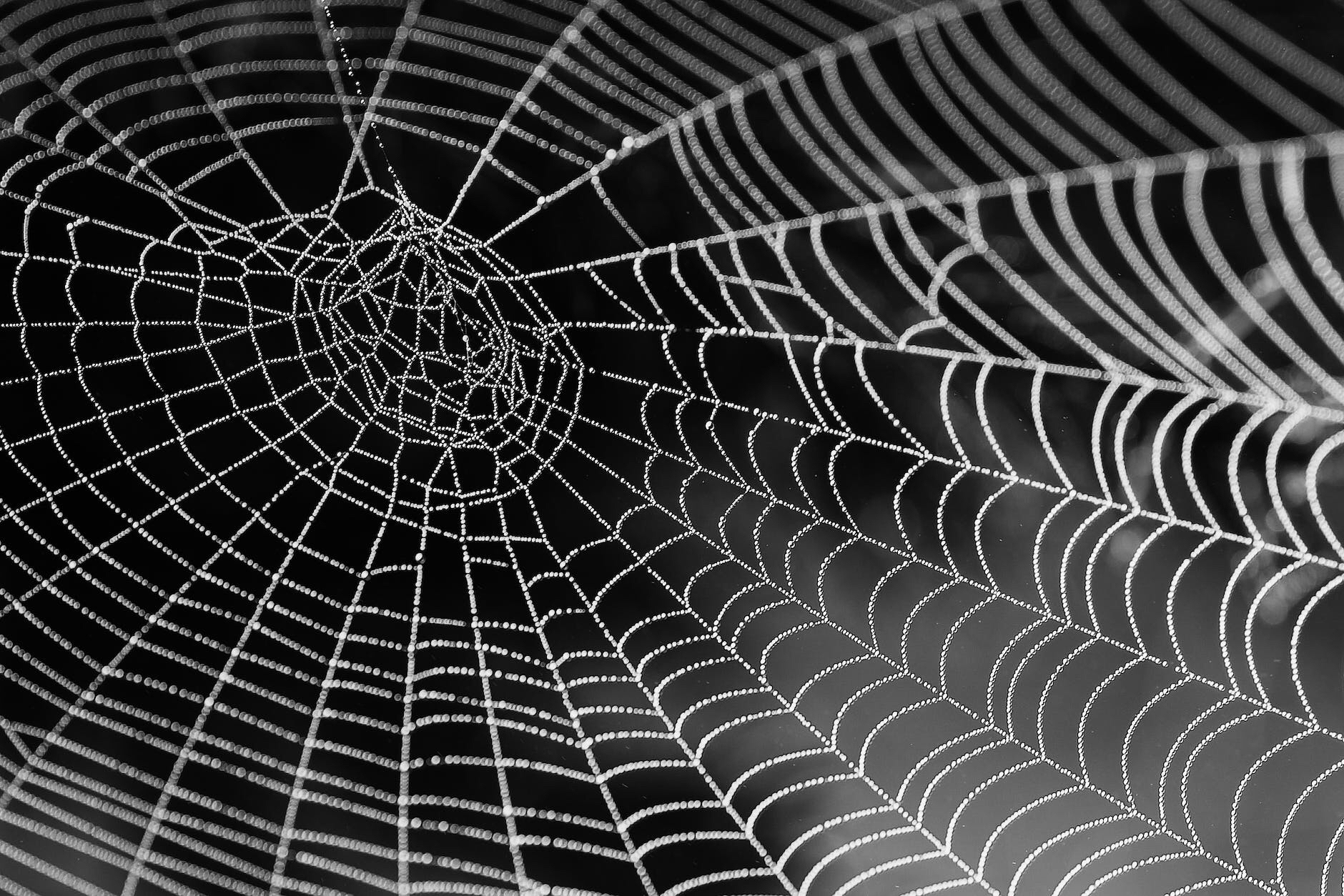 Sitios web